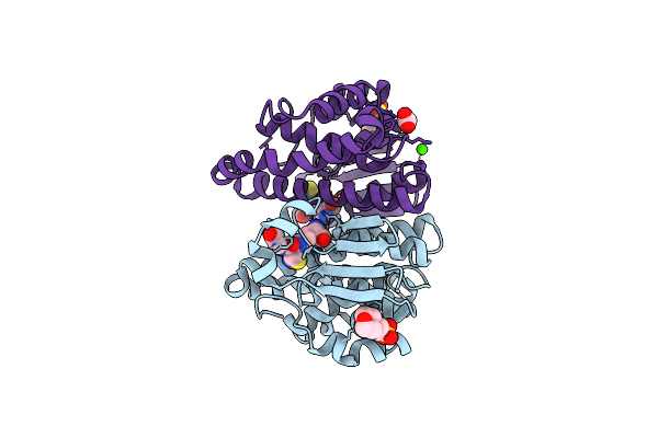 2A2R image