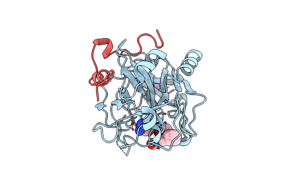 2A2X image
