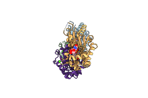 2A2Z image