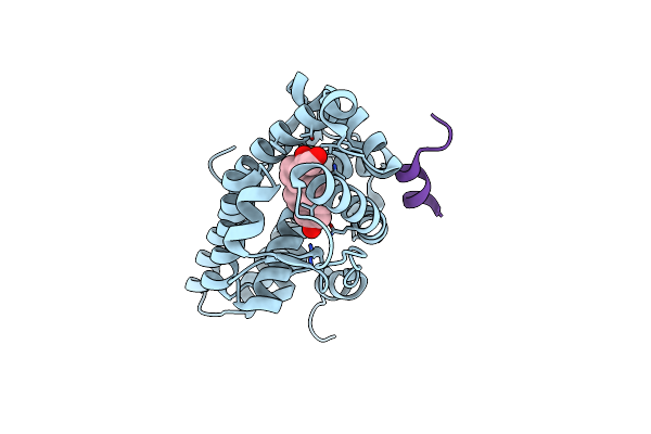 2A3I image