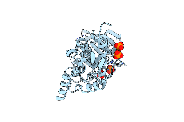 2A3K image