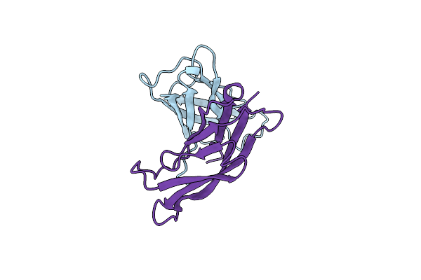 2A4C image