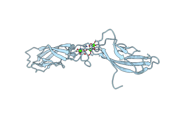 2A4E image