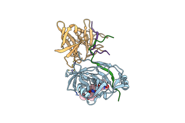 2A4R image