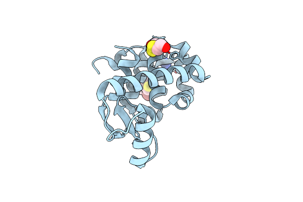 2A4T image