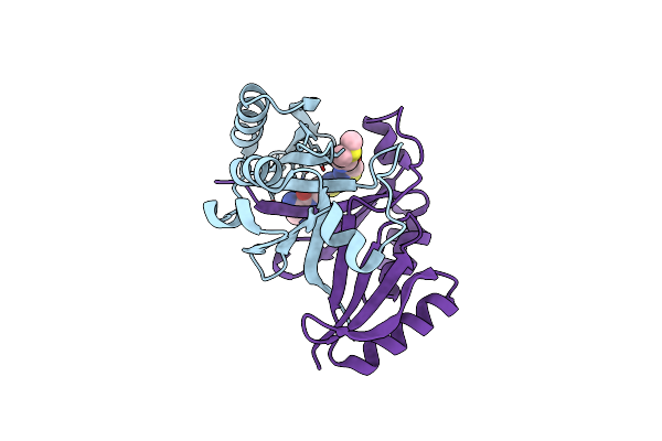 2A4X image