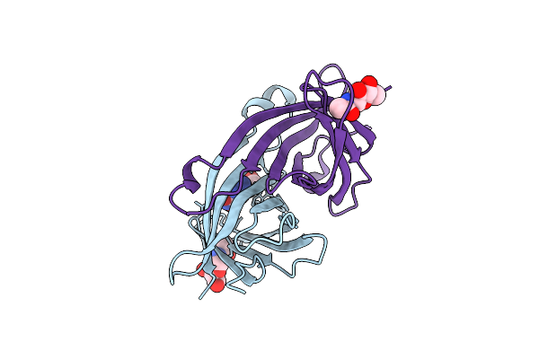 2A5B image