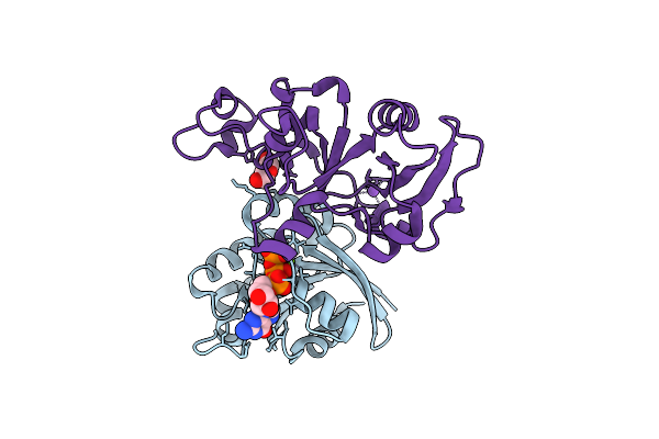 2A5D image