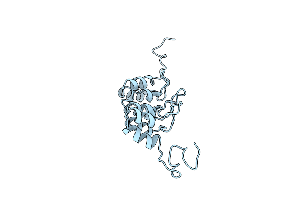 2A5E image
