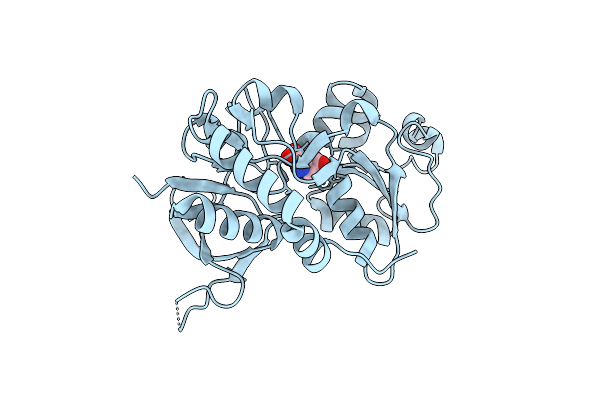2A5S image