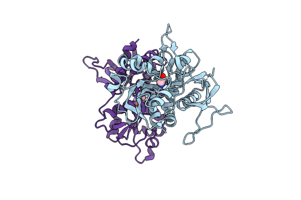 2A5T image