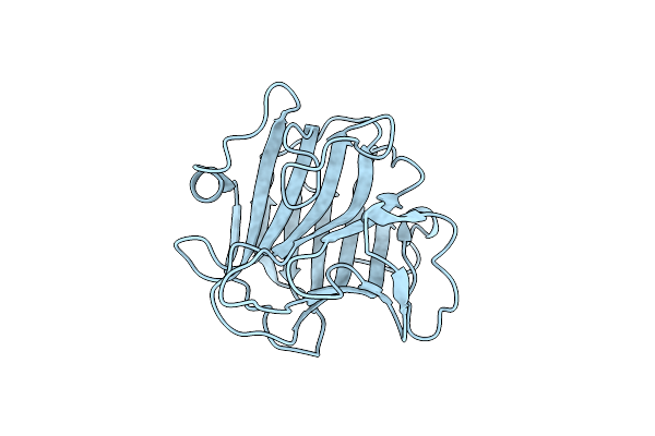 2A6Z image