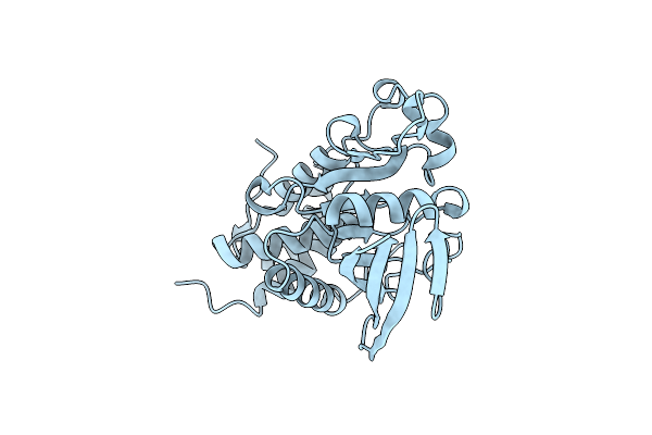 2A8B image