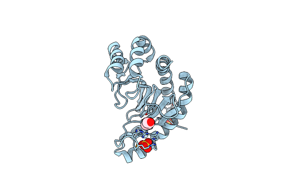 2A8E image