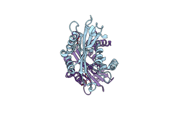 2A8P image