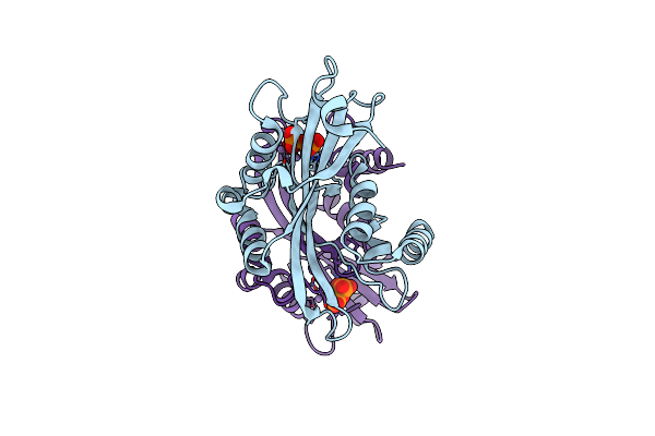 2A8R image