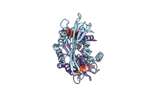 2A8S image