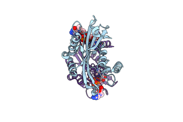 2A8T image