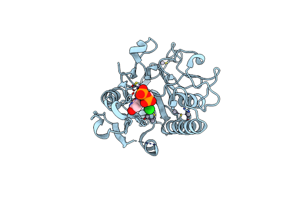 2A8W image