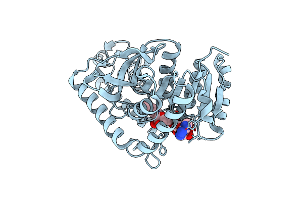 2A94 image