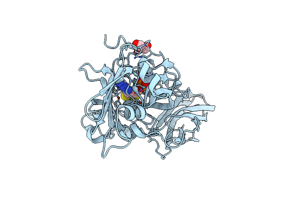 2A99 image