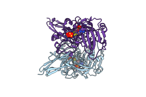 2A9A image