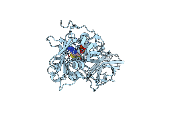 2A9B image