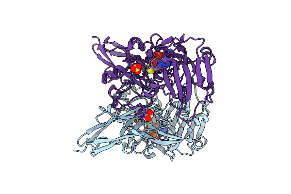 2A9C image