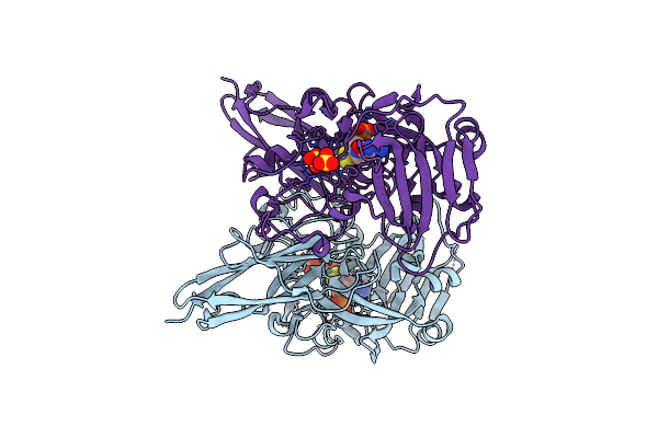 2A9D image
