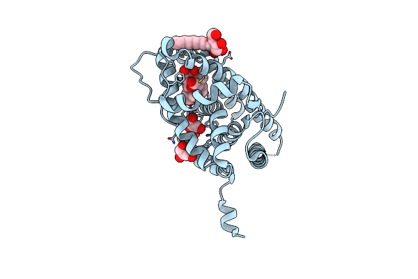 2AA2 image