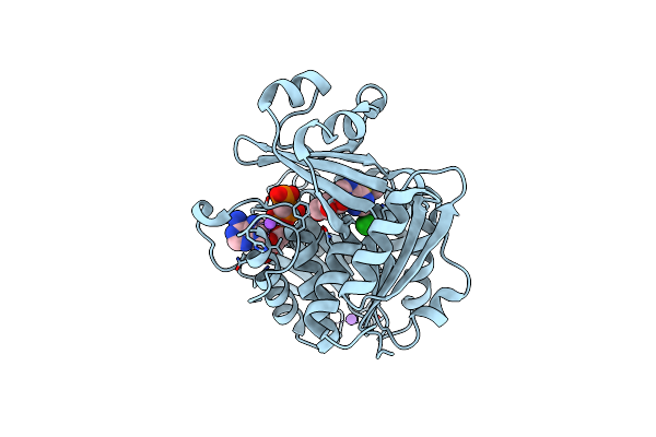 2AB8 image