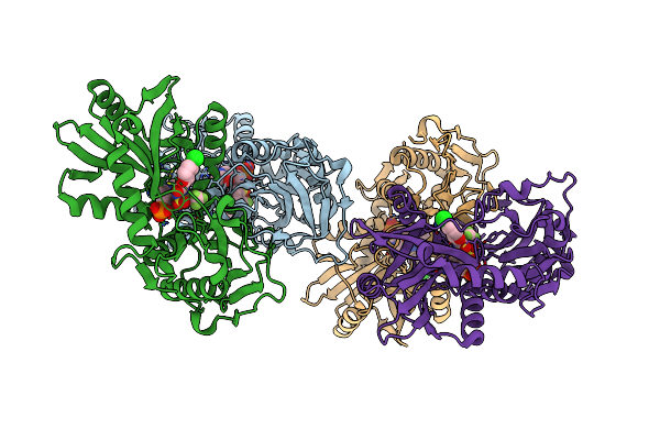 2ABJ image