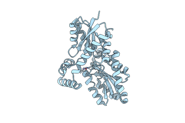 2AC2 image