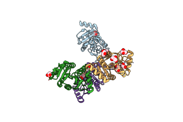 2ACF image