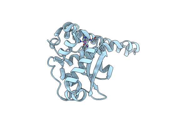 2ADP image
