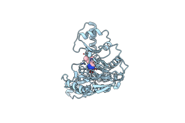 2ADU image