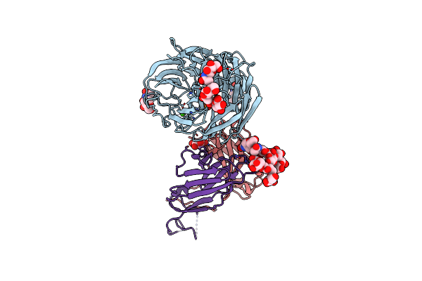 2AEP image