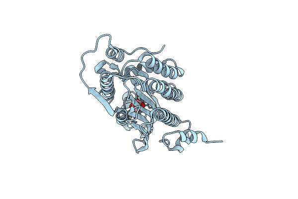 2AEX image