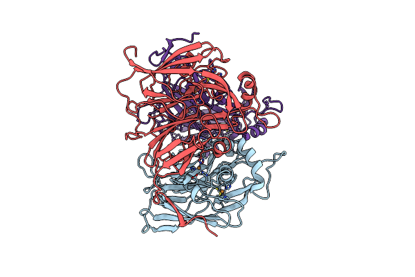 2AFN image
