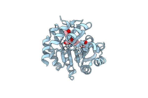 2AGK image