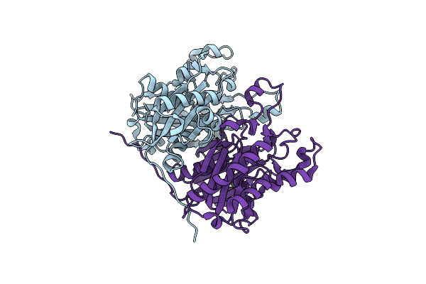 2AHB image