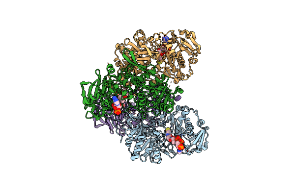 2AHV image
