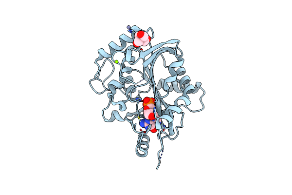 2AI3 image
