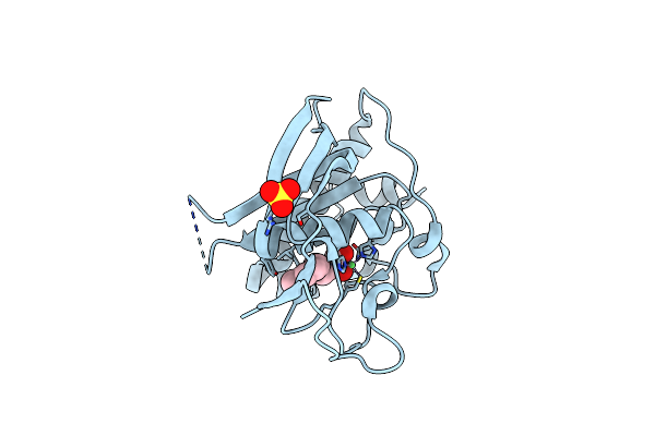 2AIE image