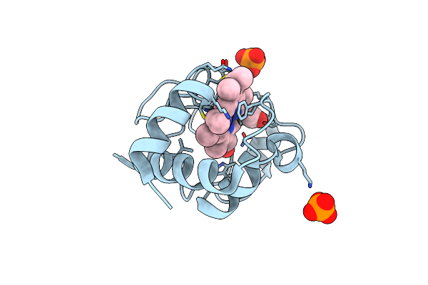 2AIU image