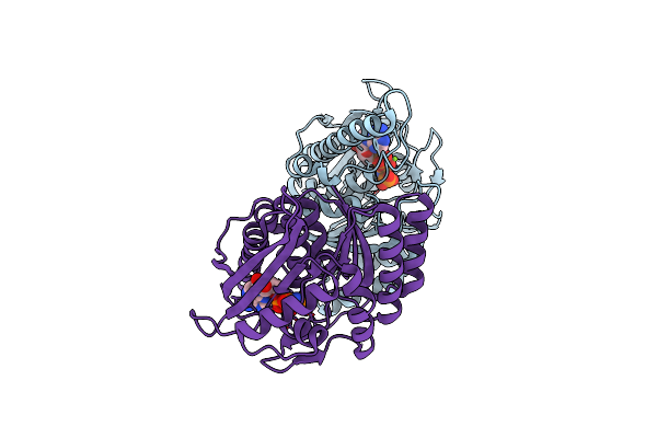 2AJP image