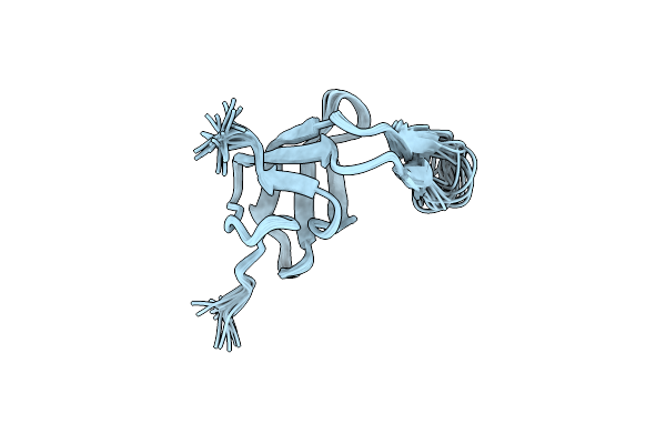 2AKK image