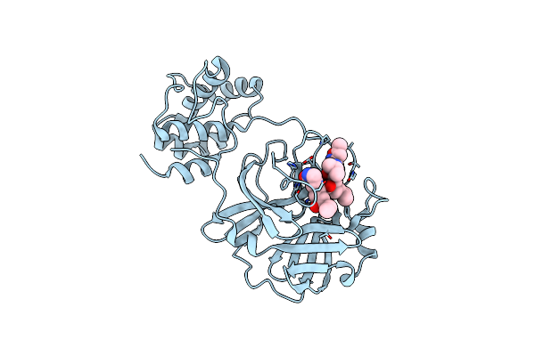 2ALV image
