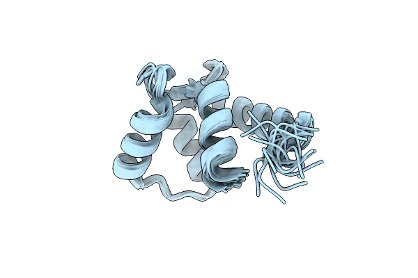 2AMI image