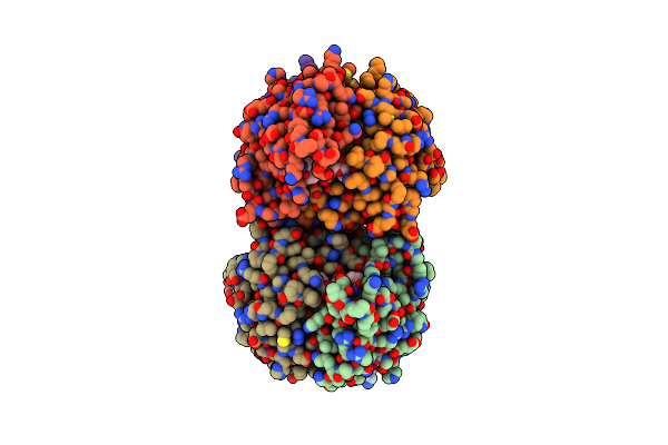 2AMT image